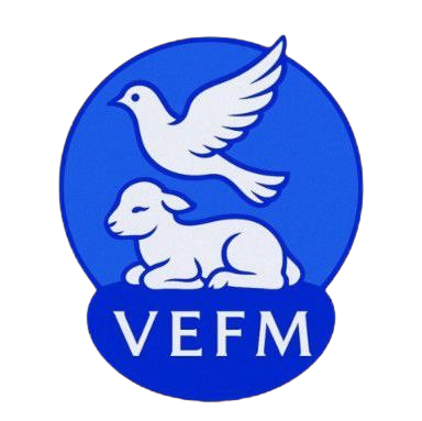 logo vefm original removebg preview